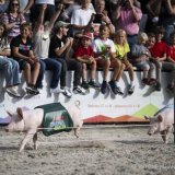La traditionnelle course Saeuli, à l'ouverture du 80e salon suisse de l'agriculture et de l'alimentation OLMA en 2023.